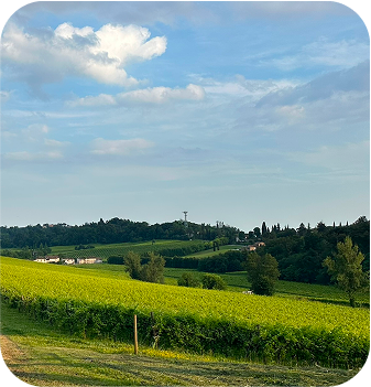 Tenuta Rosacreta