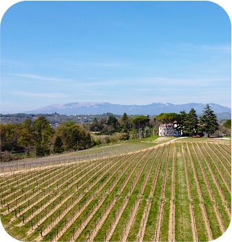 Tenuta Rosacreta